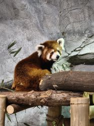 点击看大图 -Zoolung Zoolung动物主题公园(海信广场店)