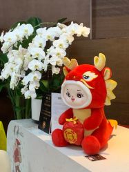 -洁铭新加坡医美