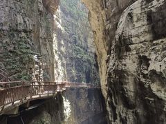 -武陵山森林公园