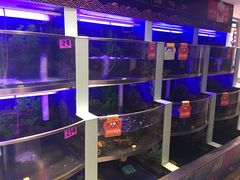 水产区-七欣天(上海淮海路新尚广场店)