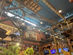 -卡通尼·Safari非洲探索乐园·生日会(金桥国际商业广场店)