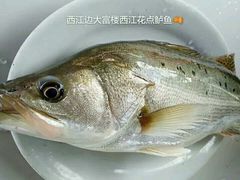 -八仔大富楼·河鲜(西江店)