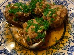 大鲍鱼-海江5号