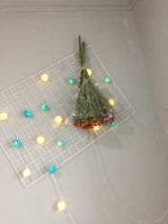 -15 Nail日式美甲美睫