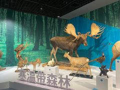 -中国湿地博物馆