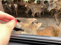 -乐和乐都主题乐园