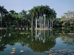 -中国科学院西双版纳热带植物园