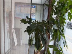 -和雅集素食(景区店)