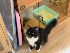-Pets First伊珊娜洗护·精致美容·家庭式寄养(新会路店)