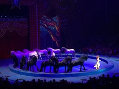 -珠海横琴长隆《卡卡虎奇遇记》