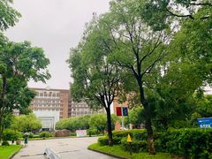 -宁波大学科学技术学院