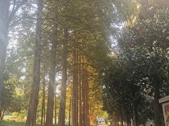 -浙江大学(玉泉校区)