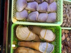 -凯华海鲜火锅·传承三十六年