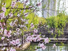 -桐乡植物园