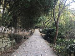 -白马涧龙池景区