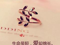 -金家米肠汤饭(振华路店)