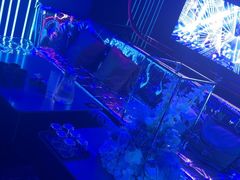 -唐会ktv(虹口店)