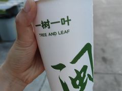 -一树一叶·福建茶档(石鼓路店)