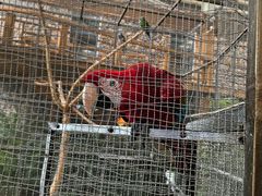 -南宫五洲植物乐园