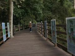 -野象谷景区