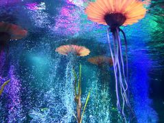 -沈阳海洋探索中心