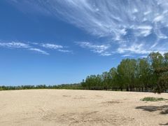 -东郊湿地公园