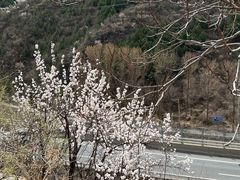 -白河湾生态旅游一条川