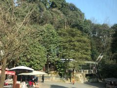 -凤栖山