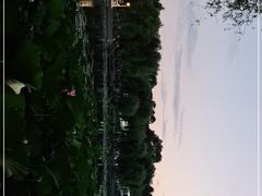 -长春市南湖公园