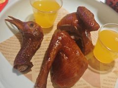 -鸽小宝(深圳首店)