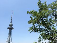 -青岛电视塔