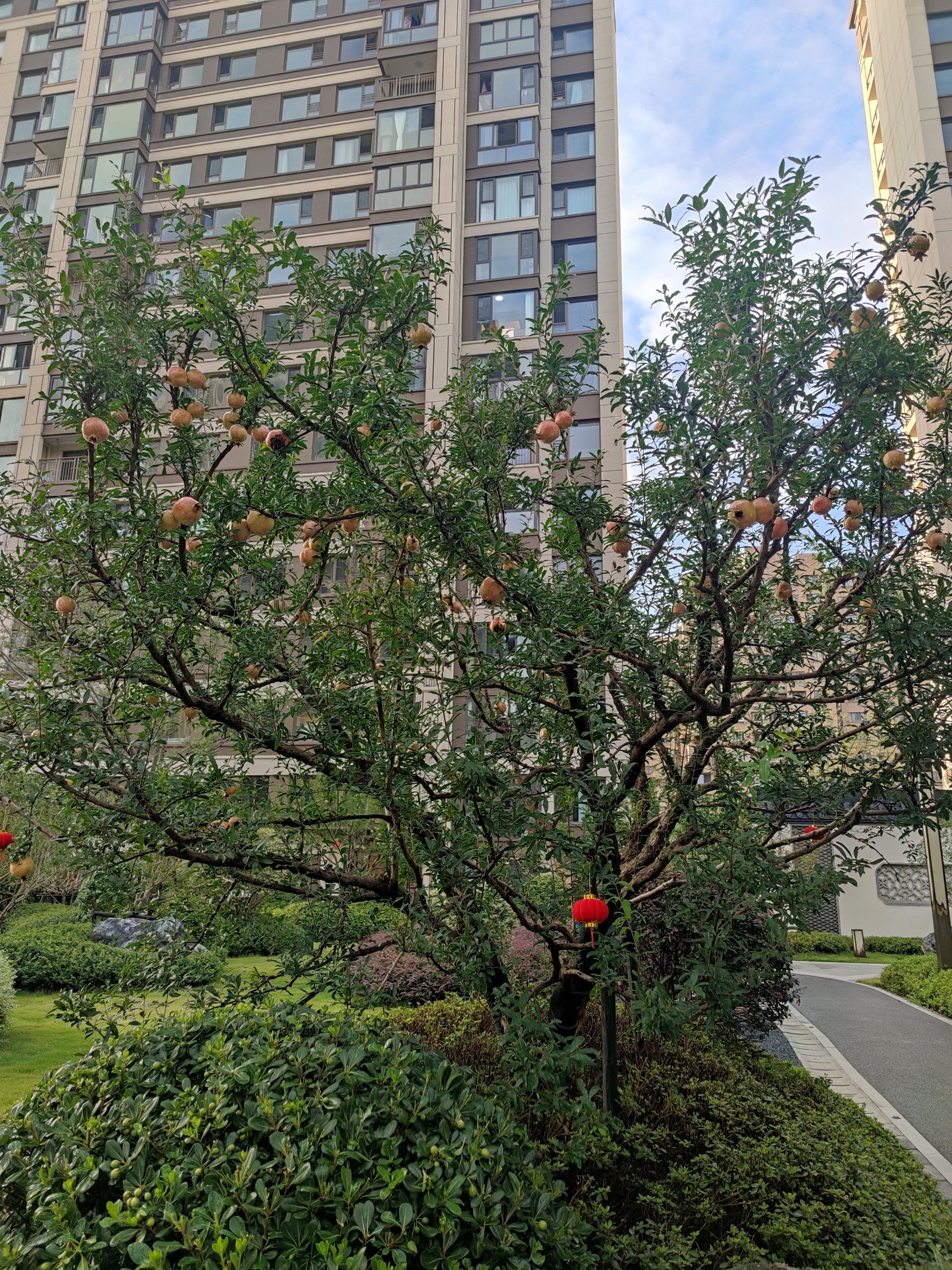 建发云锦湾