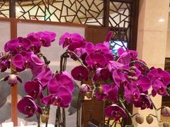 -杭州香格里拉·香宫中餐厅