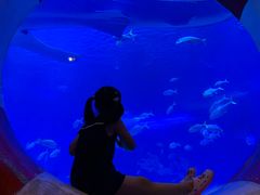 -烟台海昌鲸鲨海洋公园