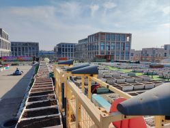 -小蜜蜂农场(凯德七宝购物广场店)