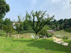 -铁山坪森林公园