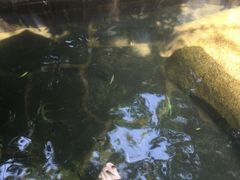 -西安国际创新人才交流中心•药浴温泉