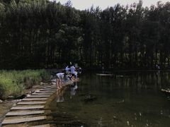 -白河湾生态旅游一条川