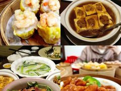 -山水茶艺馆·点心粤菜·30年老字号