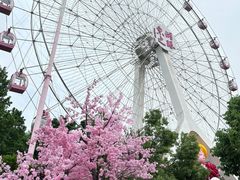 -东湖生态旅游风景区