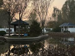 -廊坊市自然公园