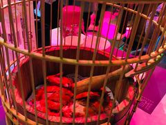 -胡桃里音乐酒馆(曲江店)