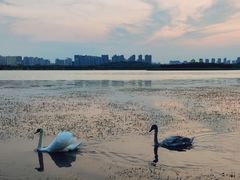 -北龙湖湿地公园