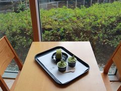 -雪绿茶博物馆
