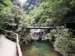 -石台牯牛降景区