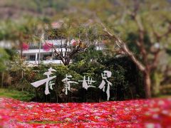 -青青世界