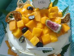 -卡滋贝诺动物奶油生日蛋糕(支塘工匠店)