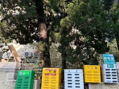 -八大关景区
