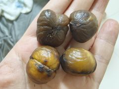 -粒上皇(扬名广场店)