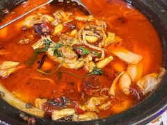 -重庆火锅水库鱼庄(南油店)